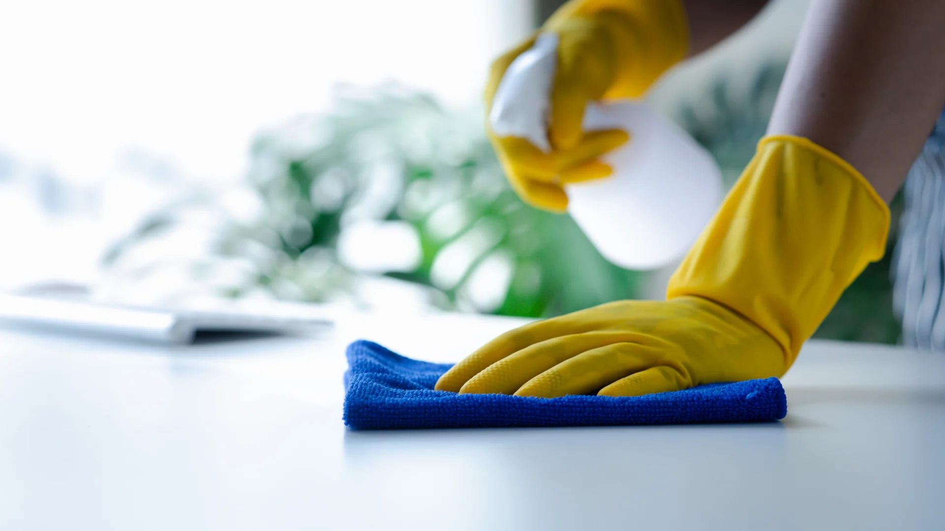 Gründliche Reinigung mit Handschuhen und Tuch